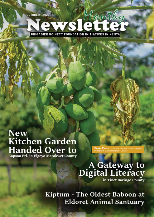 October 2025 Newsletter